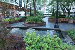 commerical-landscape-maintenance-3