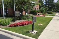 commerical-landscape-maintenance-6