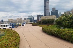 commerical-landscape-maintenance-7