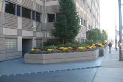 commercial-seasonal-color-10