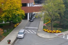 commercial-seasonal-color-11