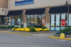 commercial-seasonal-color-12