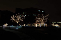 commercial-seasonal-color-15