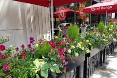 commercial-seasonal-color-2