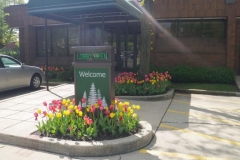 commercial-seasonal-color-3