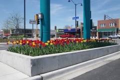 commercial-seasonal-color-4