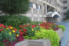 commercial-seasonal-color-5