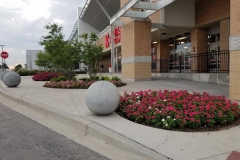 commercial-seasonal-color-6