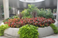 commercial-seasonal-color-7