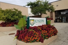 commercial-seasonal-color-8