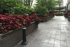 commercial-seasonal-color-9